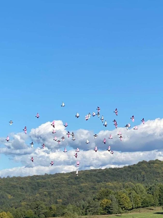 Pensiunea Gradina Ascunsa Bughea de Jos Dış mekan fotoğraf