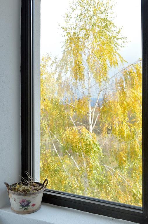 Pensiunea Gradina Ascunsa Bughea de Jos Dış mekan fotoğraf